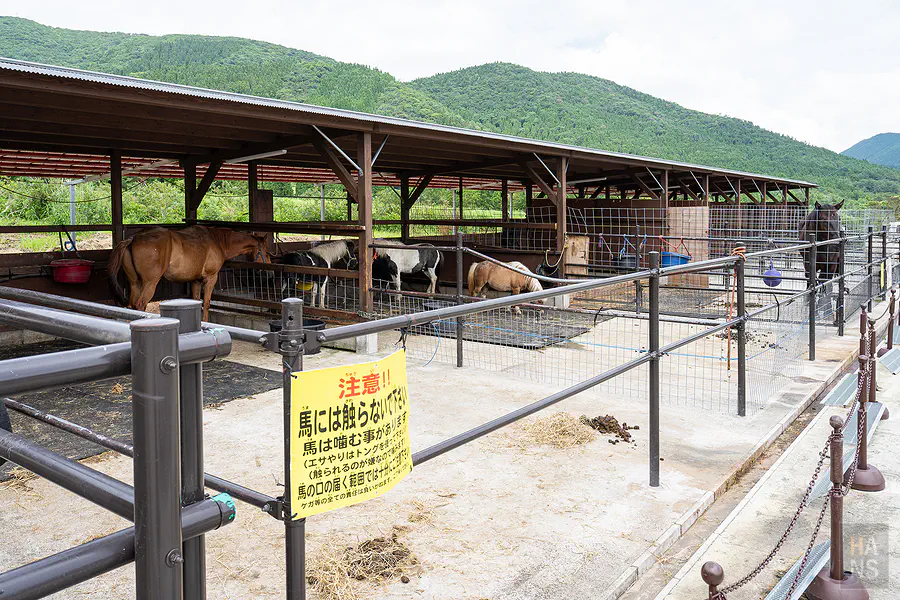 Bebenko動物區馬廄與餵食注意告示
