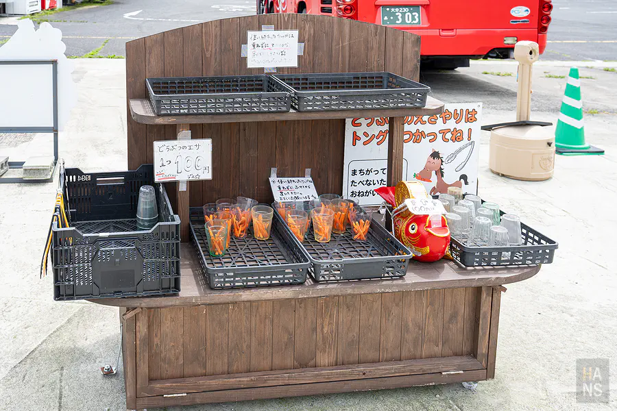 Bebenko動物餵食自助飼料台紅蘿蔔一杯100円