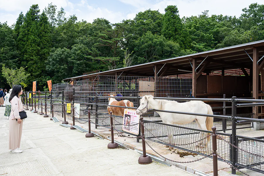 Bebenko農家餐廳可愛動物區步道與白馬