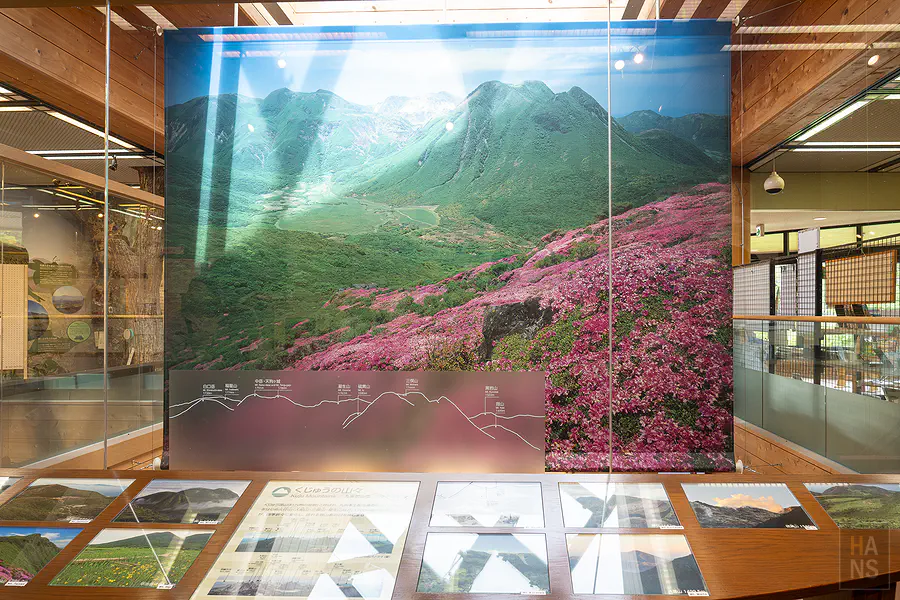 長者原遊客中心館內九重連山三葉杜鵑花季大型照片展示牆