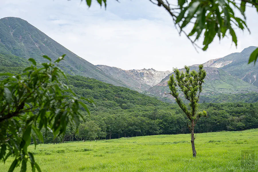 蓼原濕原草地中孤立小樹與後方九重連山裸露火山岩壁