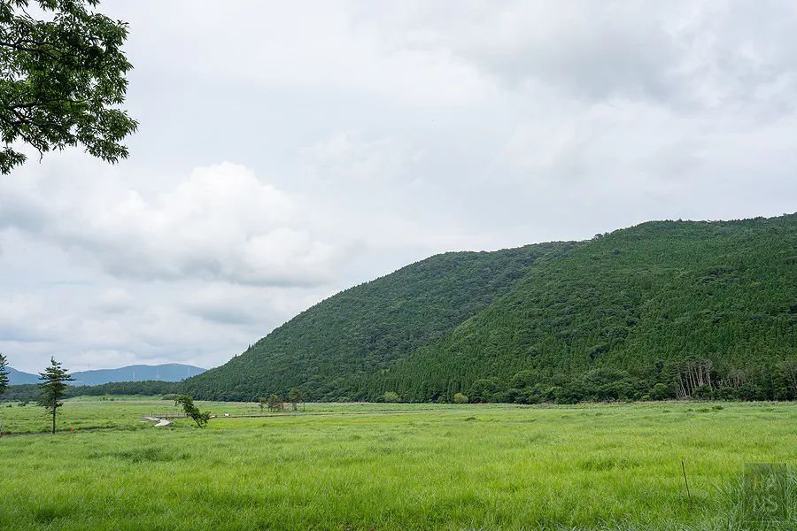 蓼原濕原一望無際的綠色草浪與環繞四周的翠綠山巒