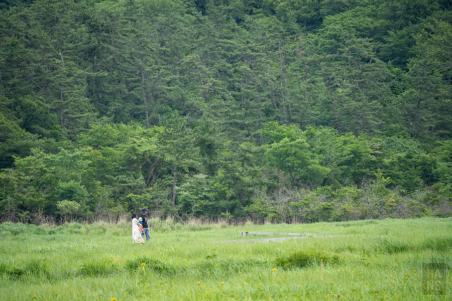 蓼原濕原遼闊草地中央木道上的旅人身影與森林背景