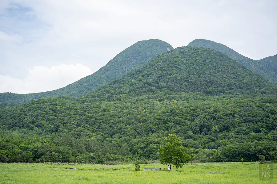 長焦鏡頭下的九重連山三俣山山容與蓼原濕原前的孤立大樹