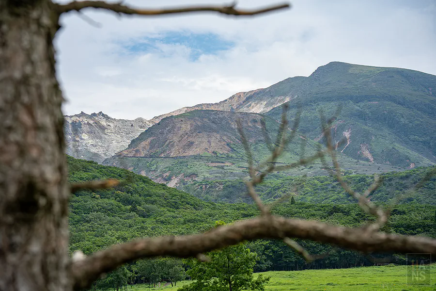 以樹幹與枯枝為前景框景拍攝九重連山火山地形
