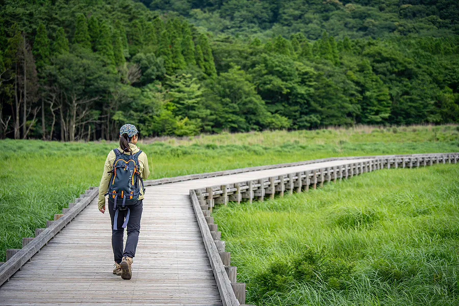 蓼原濕原平整寬敞的木道與背著背包散步的登山旅人背影