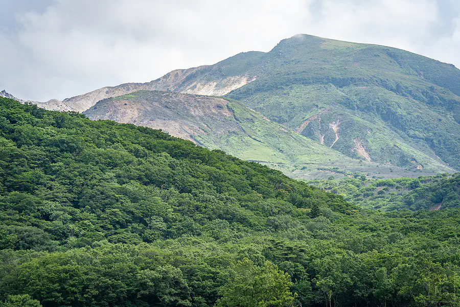 雲層流動下的九重連山山坡光影與翠綠森林