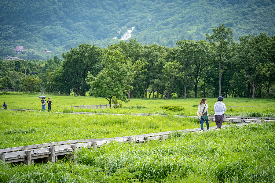 蓼原濕原交錯木道與遠方山腰冒出的地熱蒸氣景色