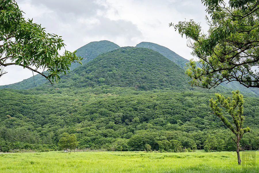 以樹枝框景拍攝蓼原濕原後方的九重連山雙峰山型