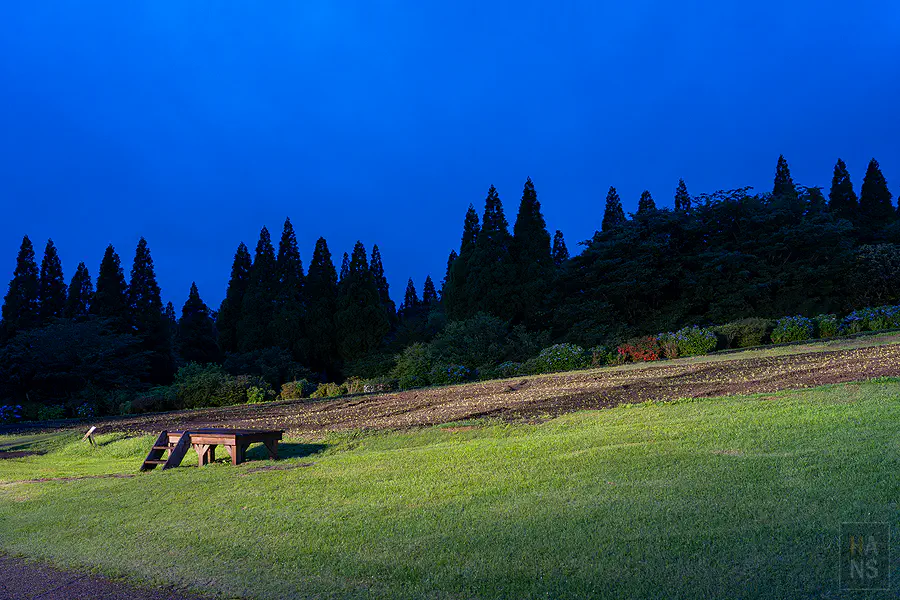 くじゅう花公園藍調時刻夜景