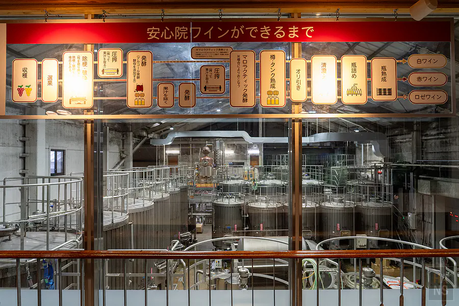 安心院葡萄酒工房自動化生產線見學