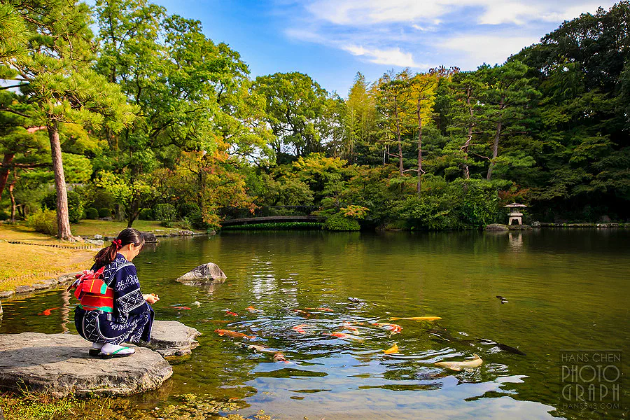 久留米日式庭園浴衣餵錦鯉，福岡久留米文化體驗