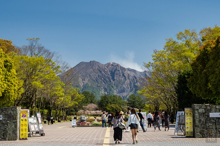 鹿兒島吉野公園遠眺櫻島火山，鹿兒島旅遊補助6成景點推薦