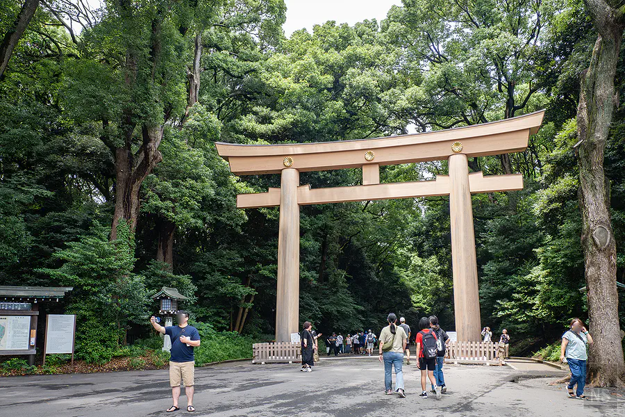 明治神宮南參道木造大鳥居與周圍高聳森林，東京都市中的神社參道