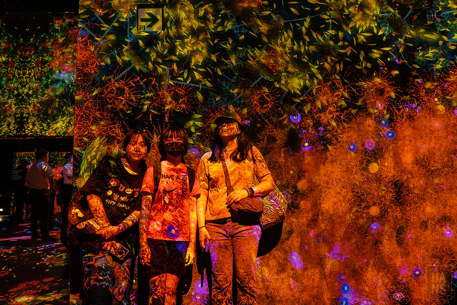 Kay 與兩個女兒在麻布台之丘 teamLab Borderless 花海投影作品中合照
