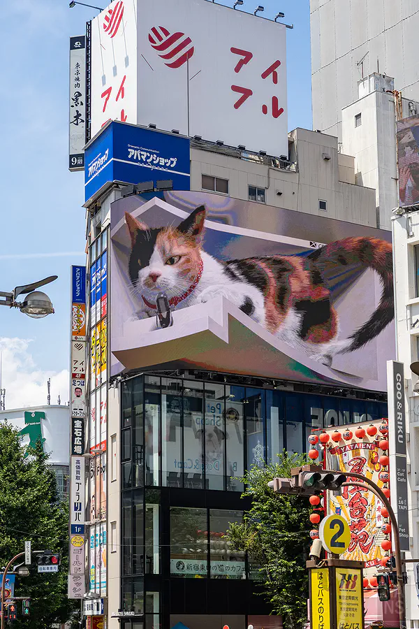 新宿東口 Cross 新宿 Vision 大螢幕上的 3D 立體三花貓探出身子