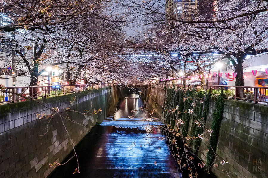 中目黑目黑川夜櫻，點燈後的櫻花隧道與粉色燈籠倒映河面