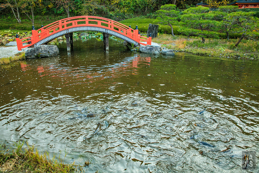 歷史公園江刺藤原之鄉
