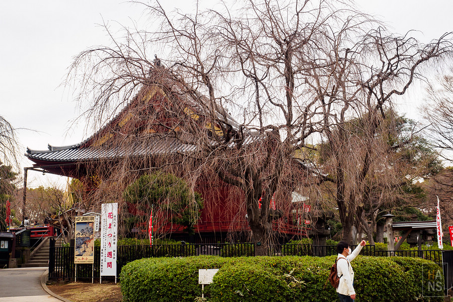 上野公園