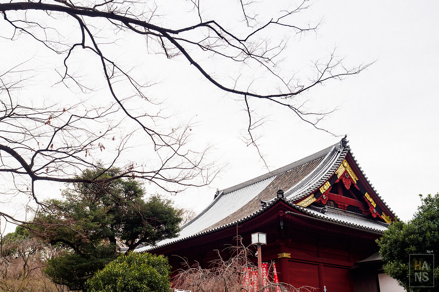 上野公園
