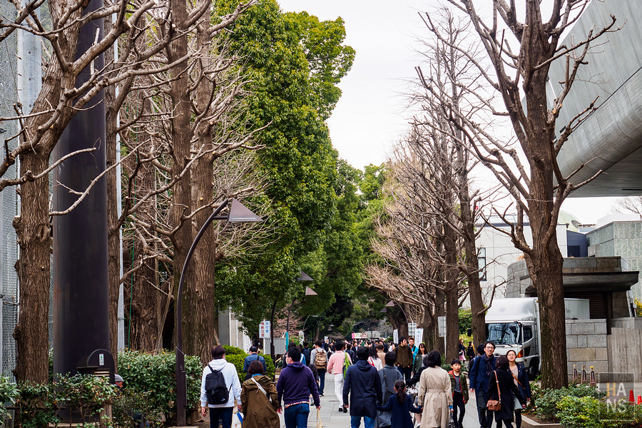 上野公園