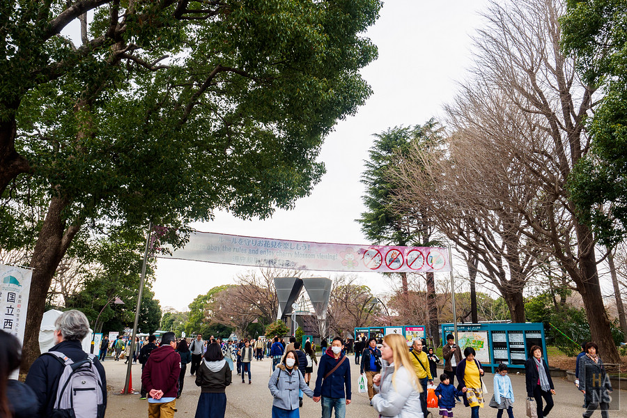 上野公園