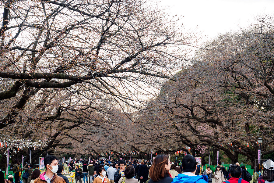 上野公園