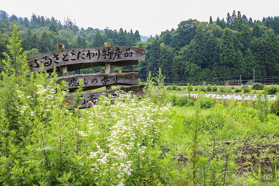 滋賀縣長濱市雞足寺
