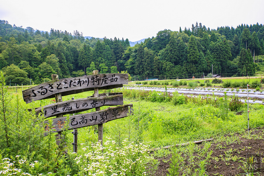 滋賀縣長濱市雞足寺