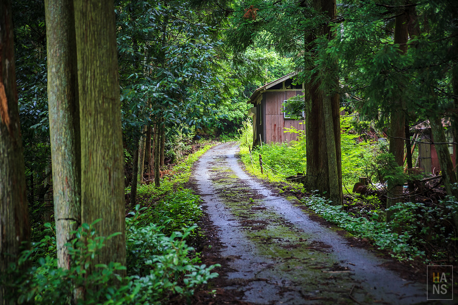 滋賀縣長濱市雞足寺
