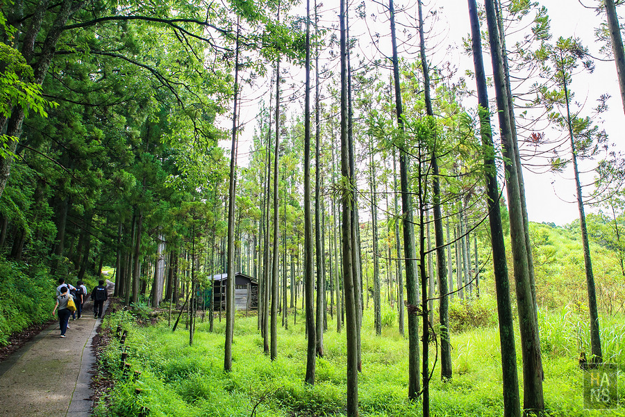 滋賀縣長濱市雞足寺