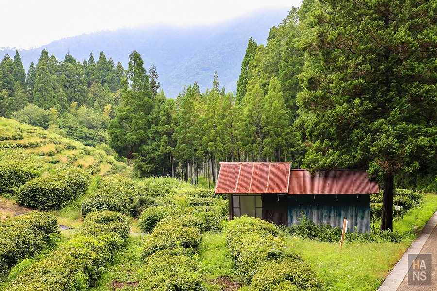 滋賀縣長濱市雞足寺