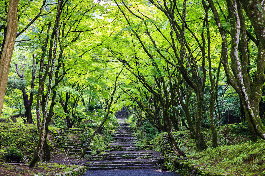 滋賀縣長濱市雞足寺