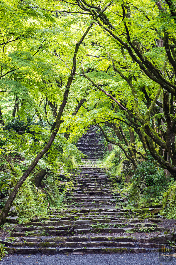 滋賀縣長濱市雞足寺