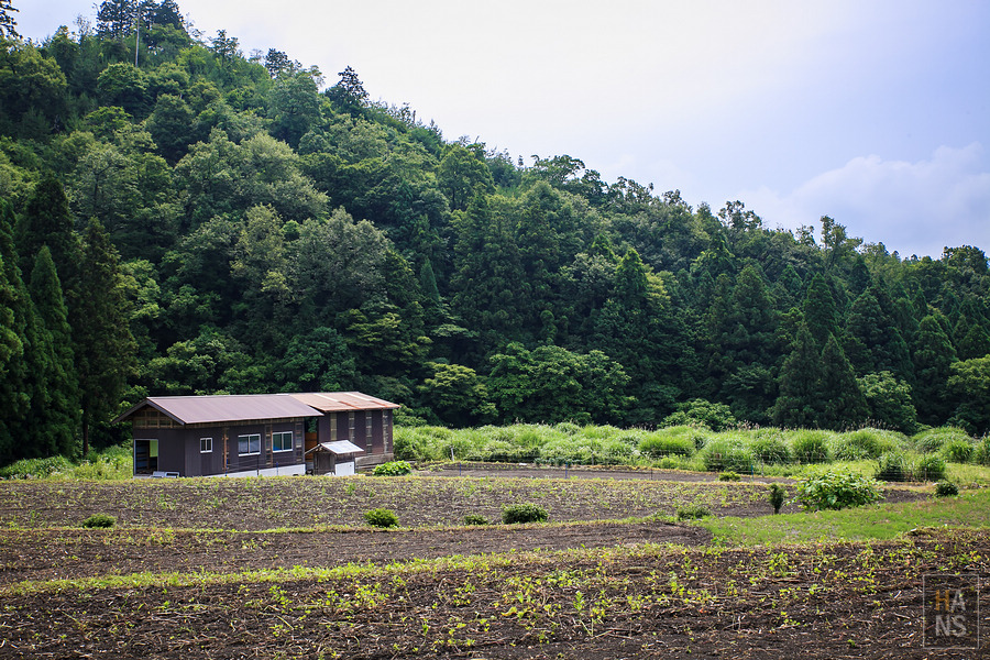 滋賀縣長濱市雞足寺
