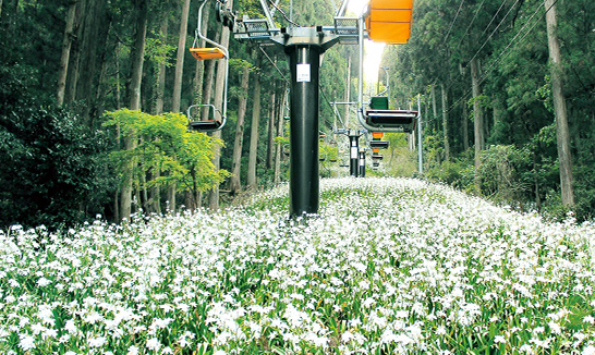 滋賀縣長濱市賤岳纜車