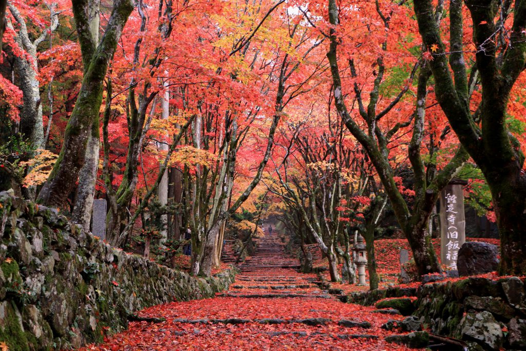 滋賀縣長濱市雞足寺