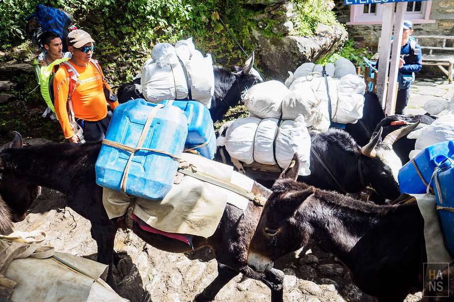 EBC珠峰基地營南崎巴札 Namche Bazaar