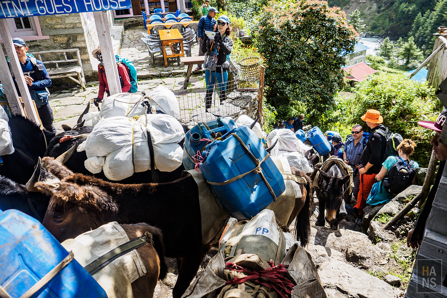 EBC珠峰基地營南崎巴札 Namche Bazaar