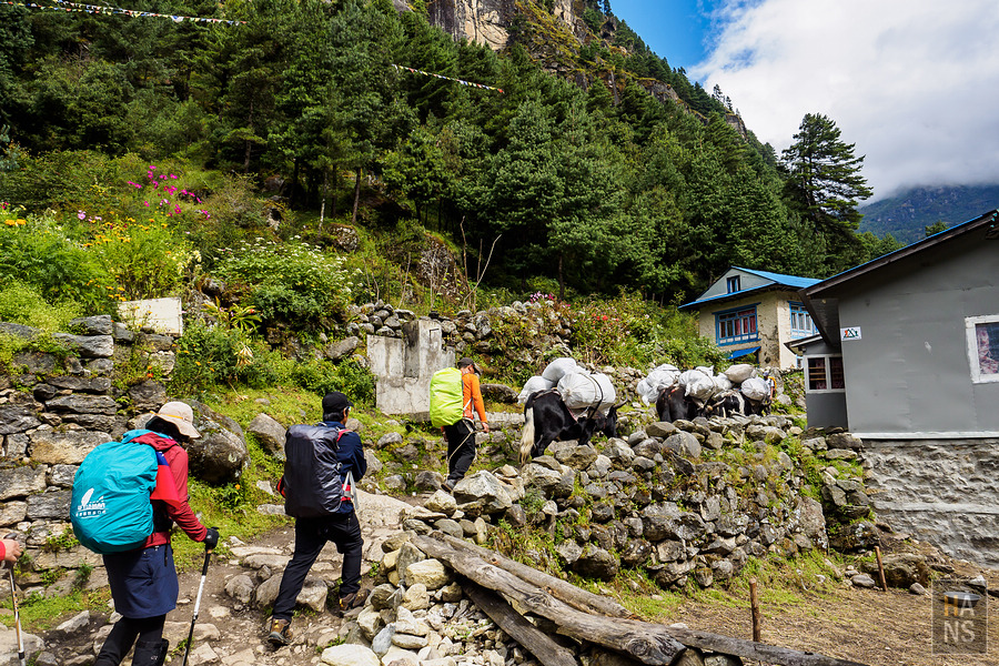EBC珠峰基地營南崎巴札 Namche Bazaar