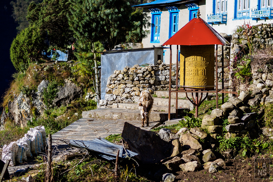 EBC珠峰基地營湯坡崎Tengboche