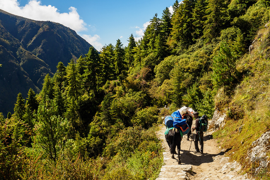 EBC珠峰基地營湯坡崎Tengboche