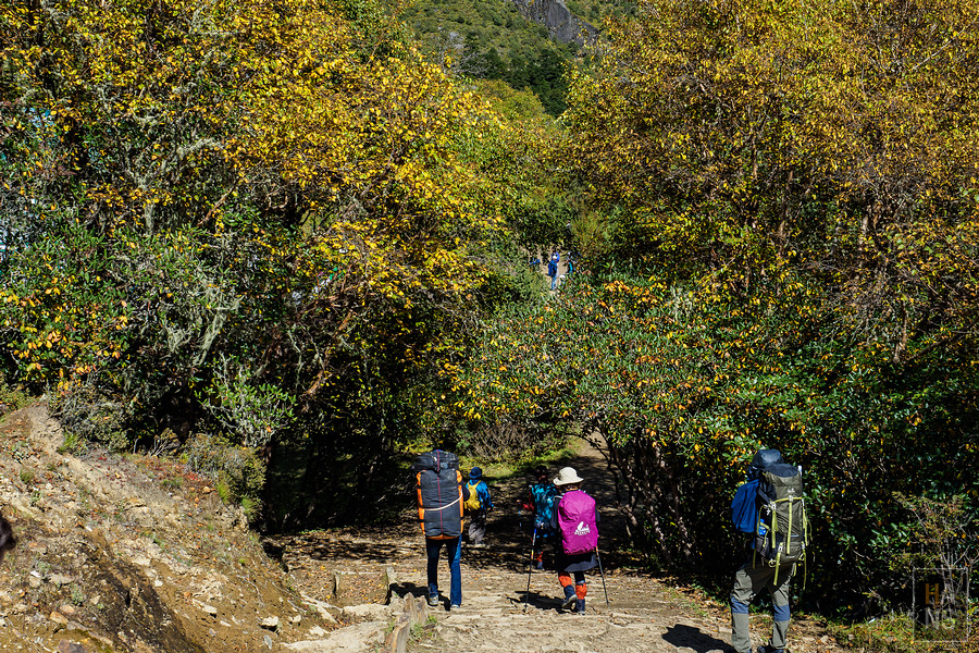EBC珠峰基地營湯坡崎Tengboche