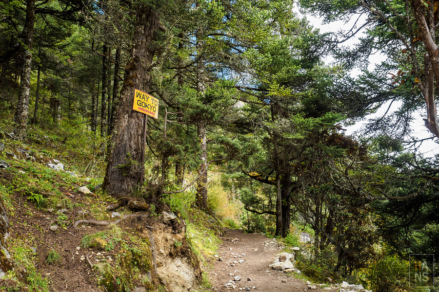 EBC珠峰基地營湯坡崎Tengboche