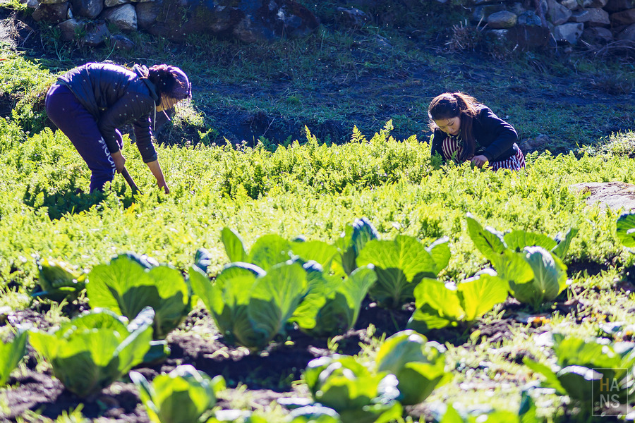 EBC珠峰基地營丁伯崎Dingboche