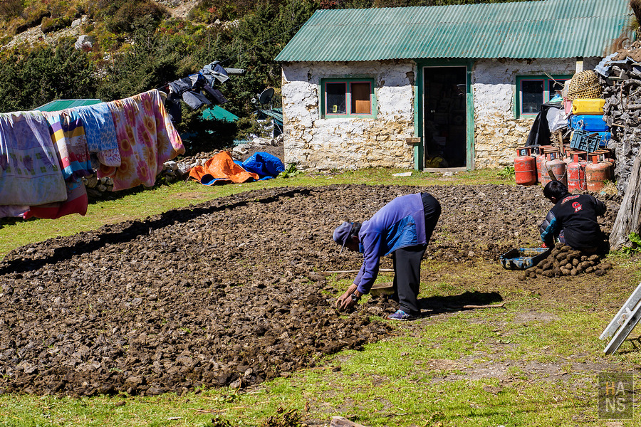 EBC珠峰基地營丁伯崎Dingboche