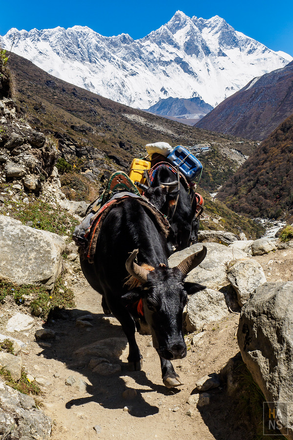 EBC珠峰基地營丁伯崎Dingboche