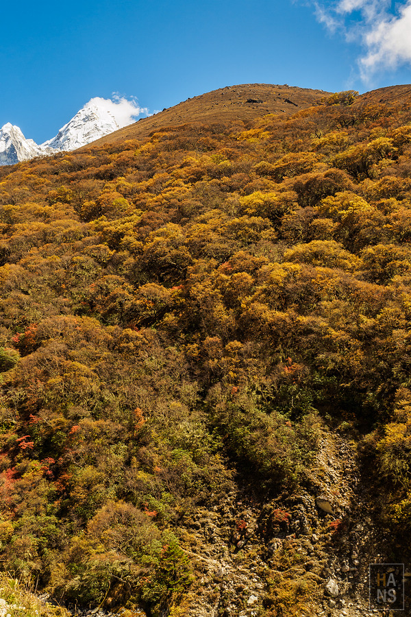 EBC珠峰基地營丁伯崎Dingboche
