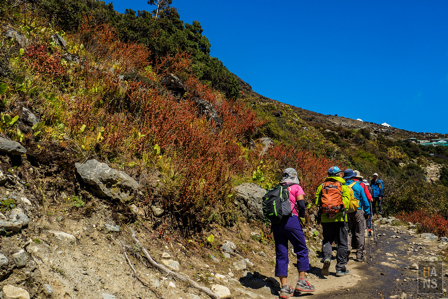 EBC珠峰基地營丁伯崎Dingboche