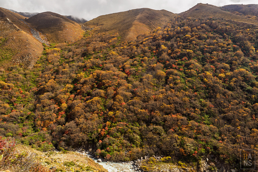 EBC珠峰基地營丁伯崎Dingboche